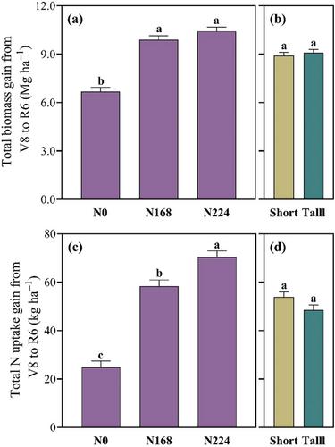 Short-statured maize achieved similar growth and nitrogen uptake but greater nitrogen efficiencies than conventional tall maize