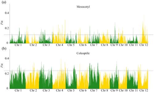 Association mapping of mesocotyl and coleoptile length in rice using various genome-wide association study models