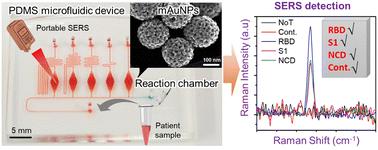 A plasmonic mesoporous gold-based SERS-microfluidic platform for the detection of infectious diseases†