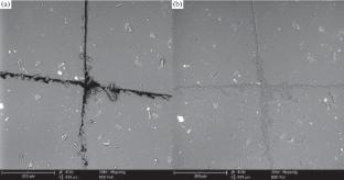 Self-Healing Polyurethanes Based on Natural Raw Materials