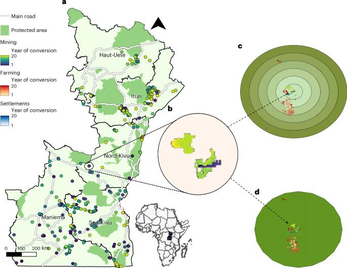 Deforestation triggered by artisanal mining in eastern Democratic Republic of the Congo