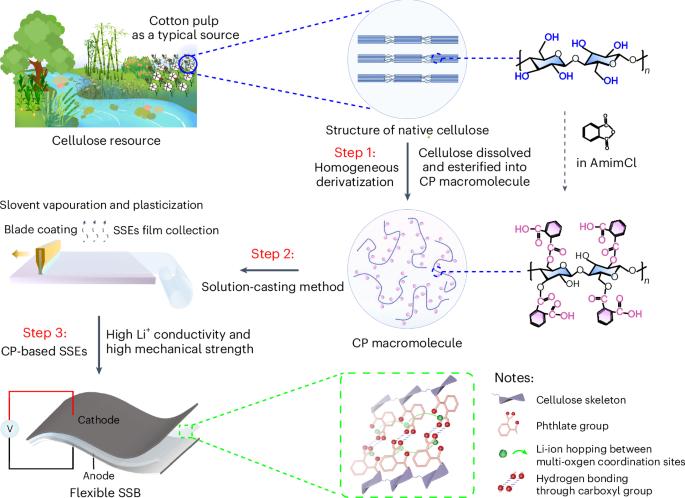 Molecular engineering of renewable cellulose biopolymers for solid-state battery electrolytes