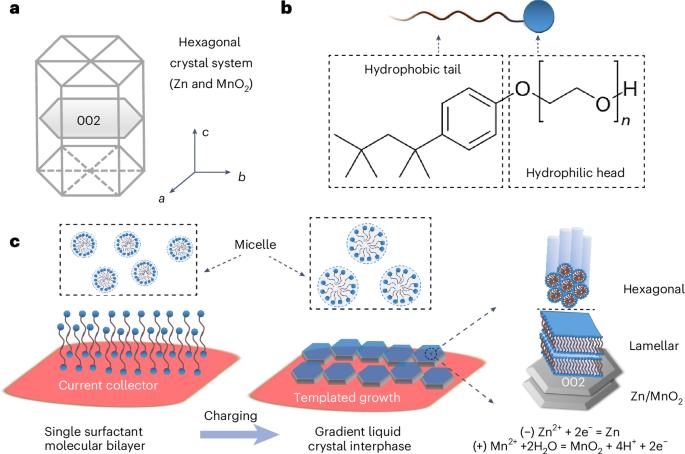 In situ formation of liquid crystal interphase in electrolytes with soft templating effects for aqueous dual-electrode-free batteries