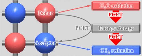 Molecular Assembly of Functional Motifs for Artificial Photosynthesis