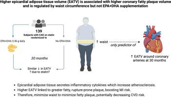 Higher epicardial adipose tissue volume is associated with higher coronary fatty plaque volume and is regulated by waist circumference but not EPA+DHA supplementation