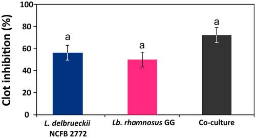 Antithrombotic and ACE-inhibitory activity of milk fermented by Lacticaseibacillus rhamnosus GG and Lactobacillus delbrueckii ssp. bulgaricus