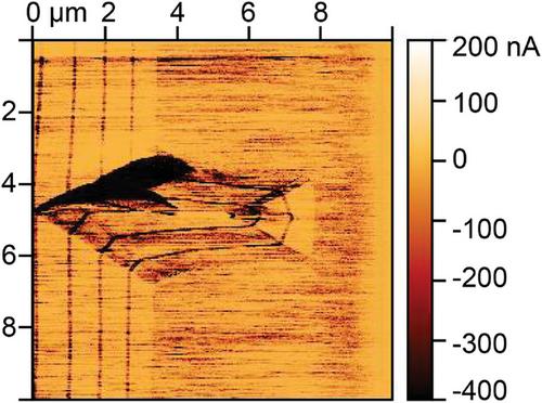 Effect of Mesa Sidewall Angle on 4H-Silicon Carbide Trench Filling Epitaxy Using Trichlorosilane and Hydrogen Chloride