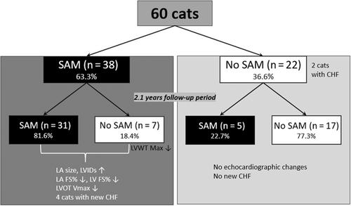 Longitudinal assessment of systolic anterior motion of the mitral valve in cats with hypertrophic cardiomyopathy