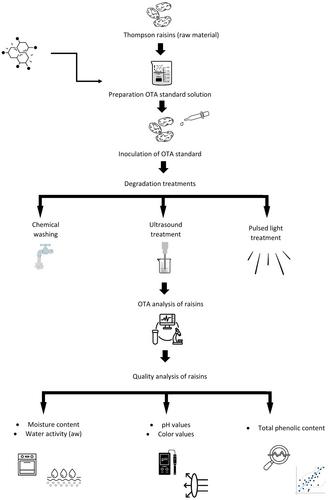 Decontamination of ochratoxin A from raisins by different processes: evaluation of efficiency and quality attributes