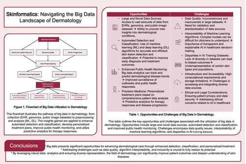 Skinformatics: Navigating the big data landscape of dermatology