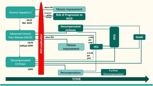 Follow-up post-HCV virological response to DAA in advanced chronic liver disease