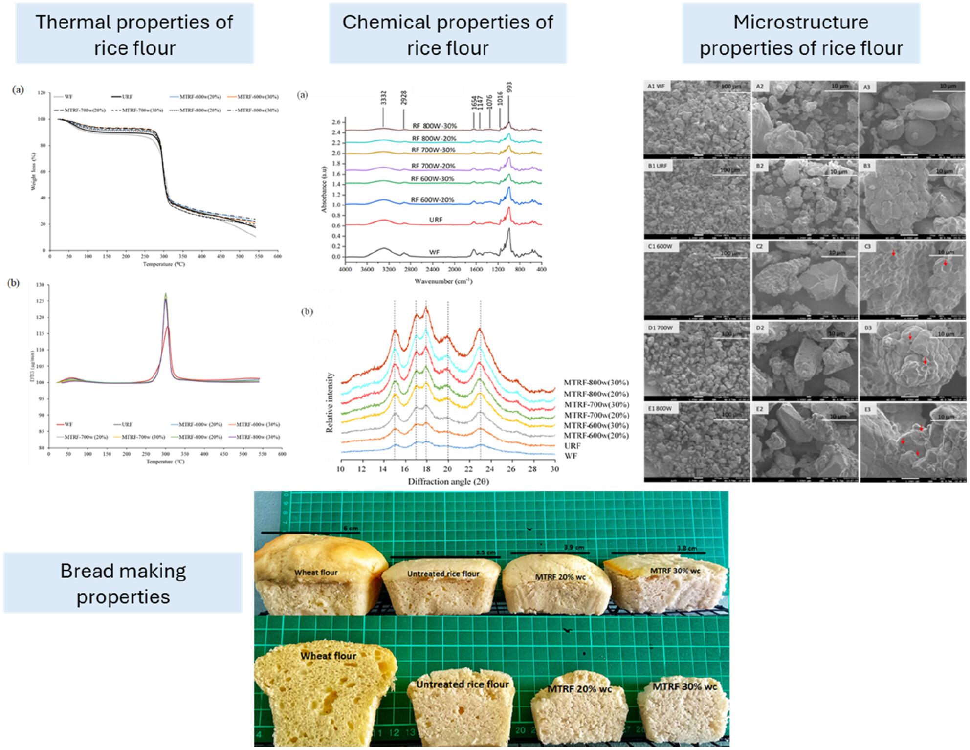 Microwave-assisted treatment for the improvement of rice flour properties and rice flour bread quality