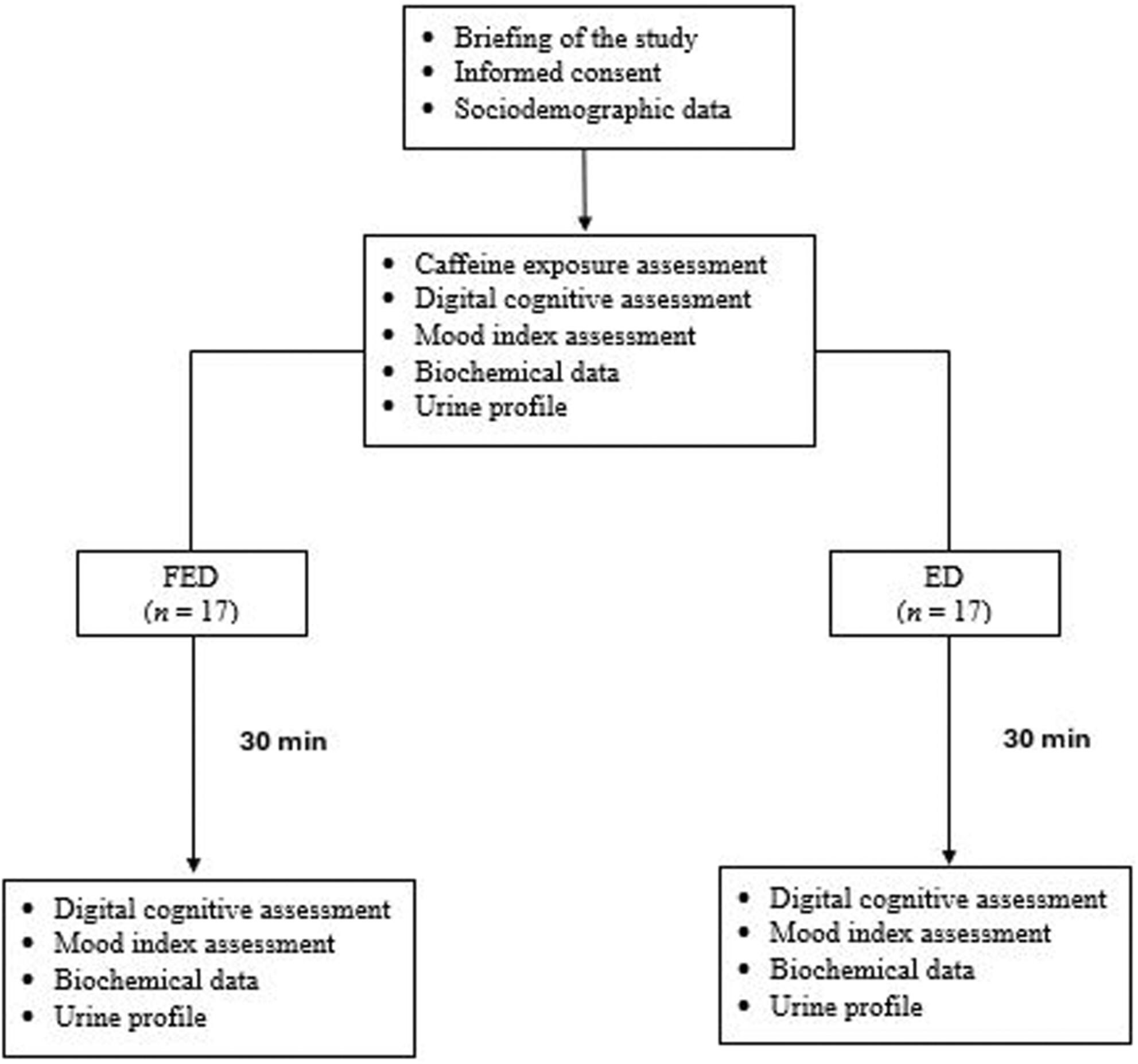 Effects of fortified electrolyte drink on cognitive, mood, and nutritional parameters: a randomised, single-blind, placebo-controlled study