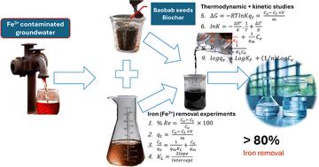 “Tree of life”: how baobab seed-derived biochar could lead to water safety for underprivileged communities through heavy metal (Fe) removal – SDG 6