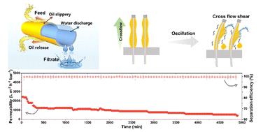 Slippery hydrogel surface on PTFE hollow fiber membranes for sustainable emulsion separation†