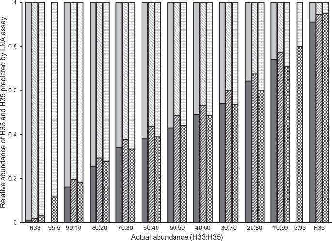 Pervasive heteroplasmy in an invasive ambrosia beetle (Scolytinae) in southern California