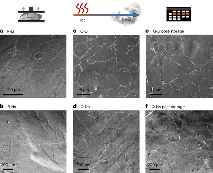 Imaging the microstructure of lithium and sodium metal in anode-free solid-state batteries using electron backscatter diffraction