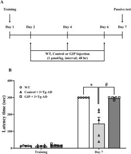 Akt-activated GSK3β inhibitory peptide effectively blocks tau hyperphosphorylation