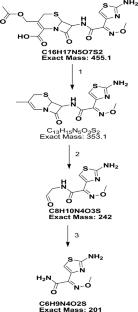 Enhanced peroxidase activity of modified MoS2-PEG nanoparticles: a facilitator for cefotaxime degradation