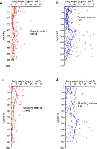 Seasonality of zooplankton active flux in subtropical waters