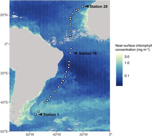 Aerobic anoxygenic phototrophic bacteria correlate with picophytoplankton across the Atlantic Ocean but show unique vertical bioenergetics