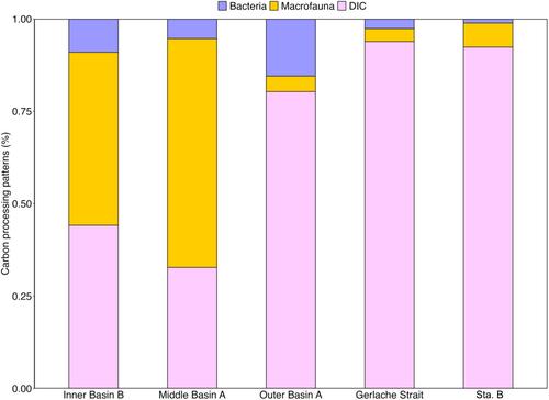 High benthic community respiration and ecosystem response to phytodetrital input in a subpolar fjord on the West Antarctic Peninsula