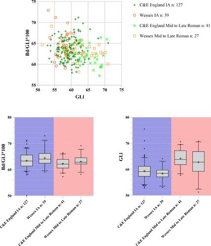 Continuity and change in animal husbandry during the Later Iron Age of Britain