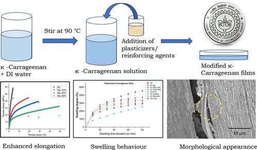 Investigation of synergistic effects of polyols and cellulose-based reinforcements on kappa-carrageenan films