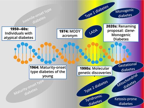 Maturity-onset diabetes of the young: A proposal for updated nomenclature