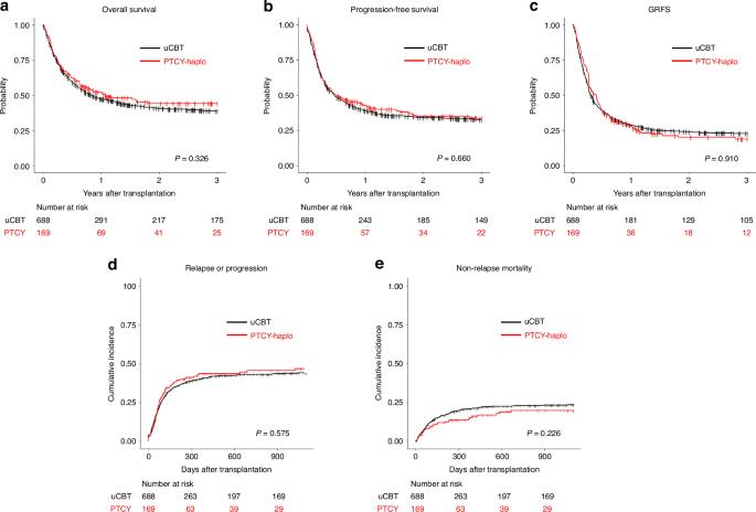Haploidentical transplantation with post-transplant cyclophosphamide versus single cord blood transplantation in adults with relapsed/refractory non-Hodgkin lymphoma