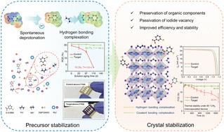Hydrogen bond-mediated pseudo-halide complexation for stable and efficient perovskite precursors and solar cells†