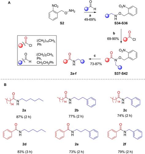 Electron Donor-Acceptor Complex-Assisted Photochemical Conversion of O-2-Nitrobenzyl Protected Hydroxamates to Amides