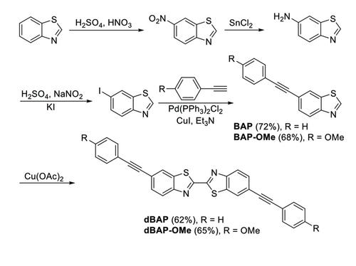 Organic Two-Photon-Absorbing Photosensitizers Can Overcome Competing Light Absorption in Organic Photocatalysis