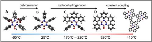 Surface Chemistry of a Halogenated Borazine: From Supramolecular Assemblies to a Random Covalent BN-Substituted Carbon Network