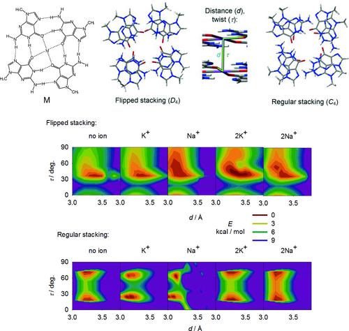 Detection of Guanine Quadruplexes by Raman Optical Activity and Quantum-Chemical Interpretation of the Spectra