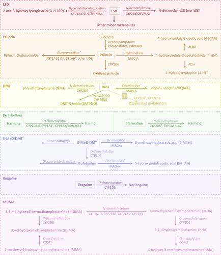 Harnessing Pharmacogenomics in Clinical Research on Psychedelic-Assisted Therapy