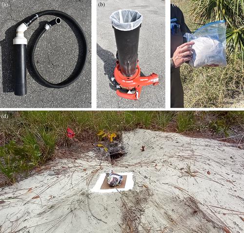 Development of a rapid and reliable surveillance method for Ornithodoros turicata americanus in gopher tortoise (Gopherus polyphemus) burrows in the southeastern United States