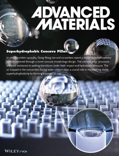 Enhancing Resistance to Wetting Transition through the Concave Structures (Adv. Mater. 1/2025)