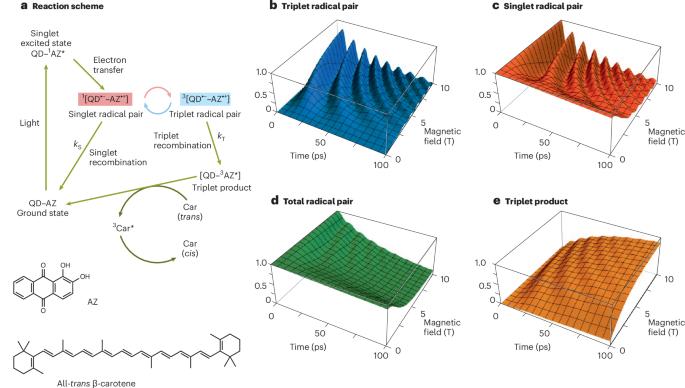 Spin control of hybrid quantum-dot-based radical pairs