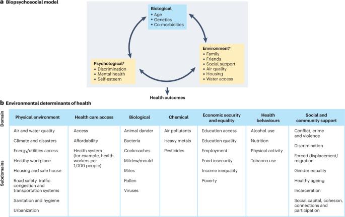 Breaking research silos to achieve equitable precision medicine in rheumatology
