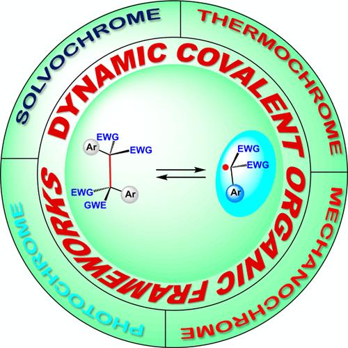A Perspective on Carbon–Carbon Diradical-Mediated Dynamic Covalent Synthesis of Organic Macrocycles and Their Emerging Functions