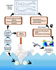 Determining chlorophyll-a thresholds for characterizing algal bloom conditions: An ocean colour remote sensing approach