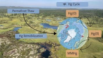 Recent advances in the study of mercury biogeochemistry in Arctic permafrost ecosystems