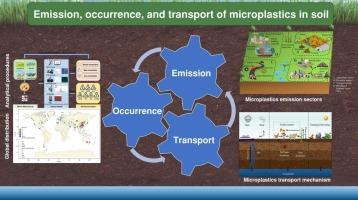 Microplastics in soils: A comprehensive review