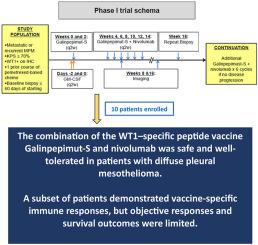 Combining a WT1 Vaccine (Galinpepimut-S) With Checkpoint Inhibition (Nivolumab) in Patients With WT1–Expressing Diffuse Pleural Mesothelioma: A Phase 1 Study