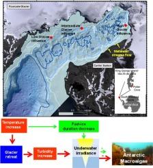 Climate-driven changes in underwater irradiance and primary productivity in an Antarctic fjord (Potter Cove, Western Antarctic Peninsula)