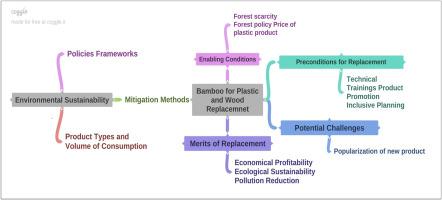 Exploring the shift to bamboo alternatives: A Case Study on wood and plastic replacement in Ethiopia