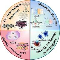 Microwave-responsive two-dimensional materials for microwave therapy of deep tissue diseases