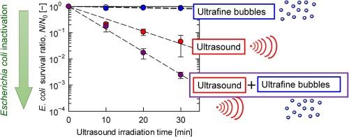 Effect of ultrafine bubbles on ultrasound-induced microbial inactivation
