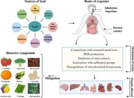 Abstract Image